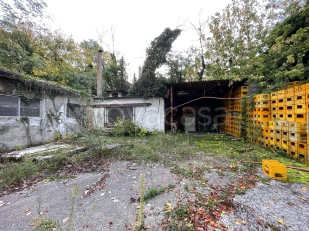 immagine annuncio 3 di 14