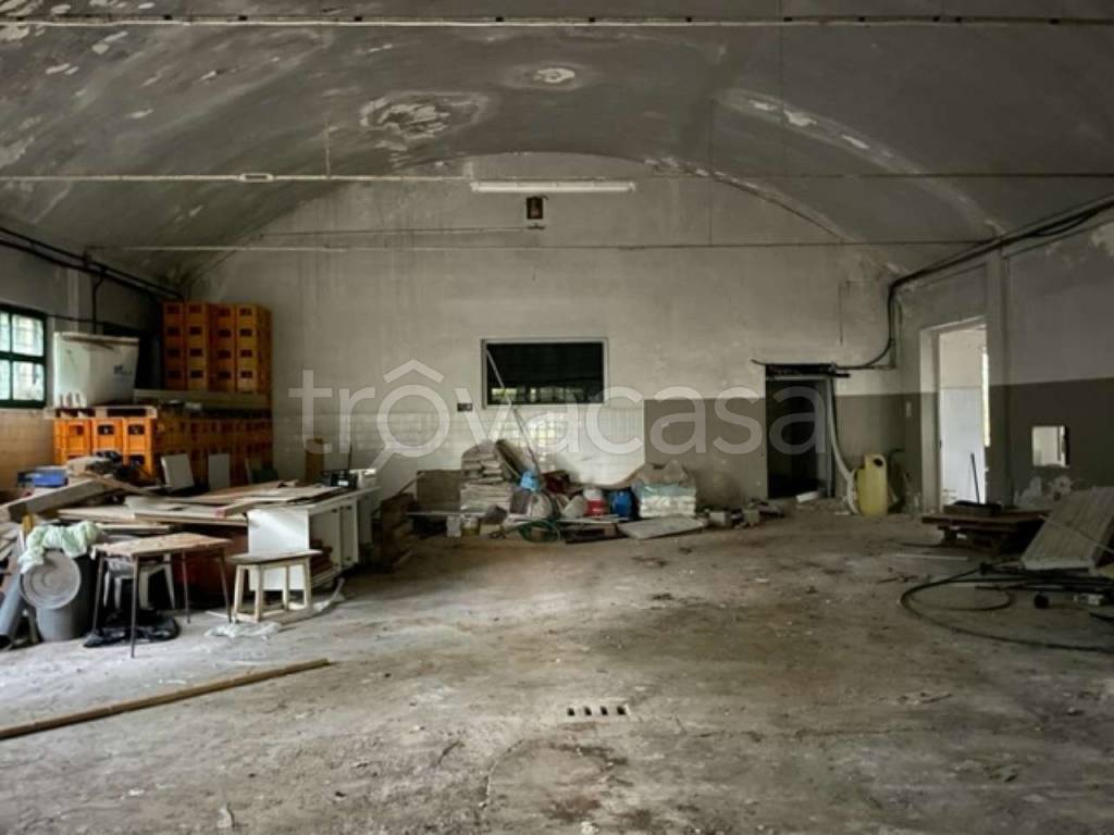 immagine annuncio 4 di 14