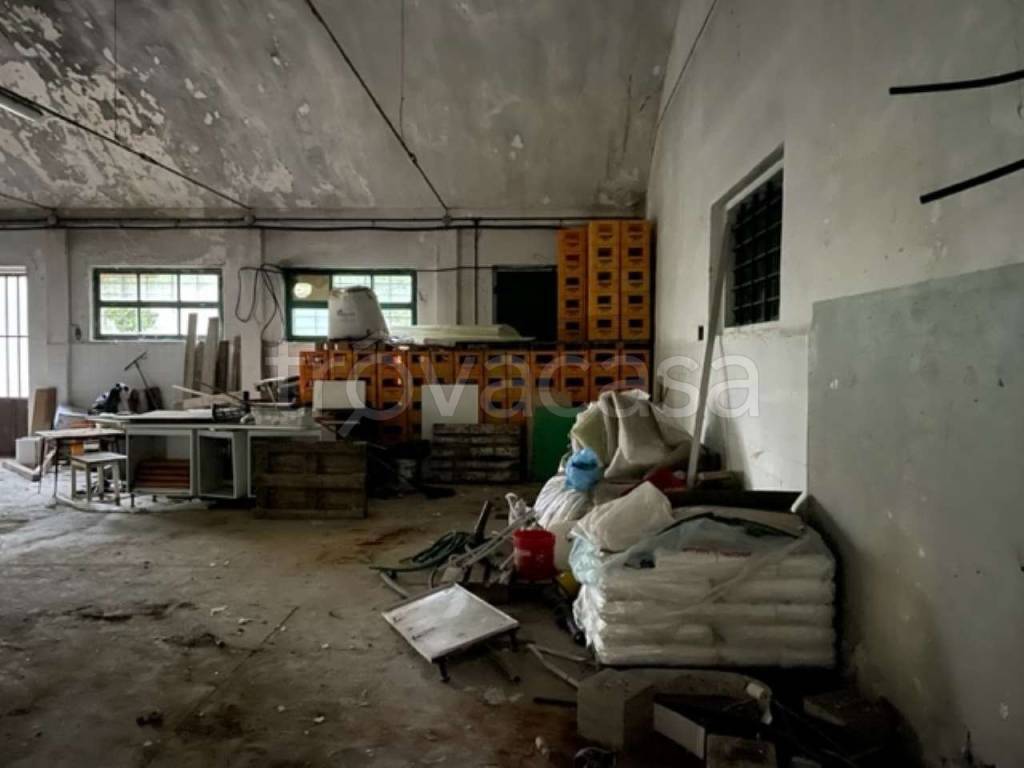 immagine annuncio 5 di 14