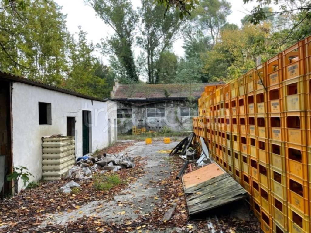 immagine annuncio 6 di 14