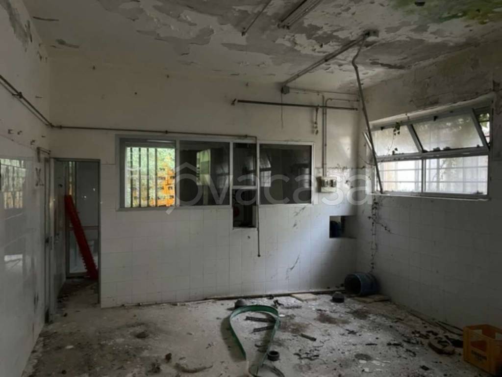 immagine annuncio 7 di 14