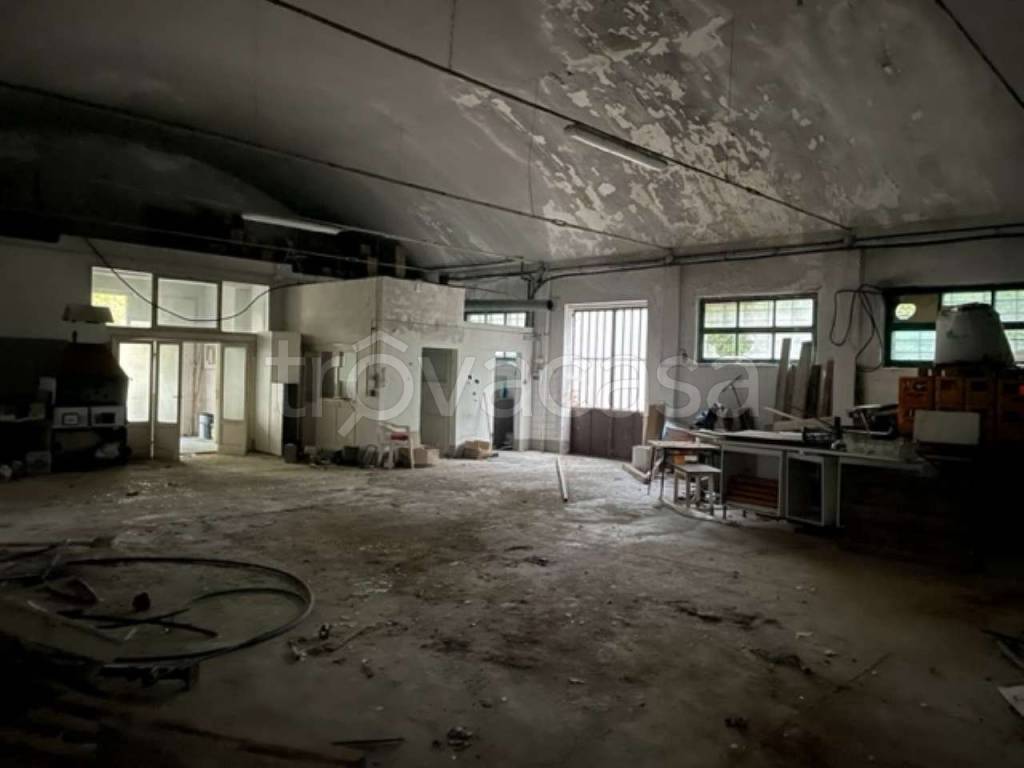 immagine annuncio 8 di 14