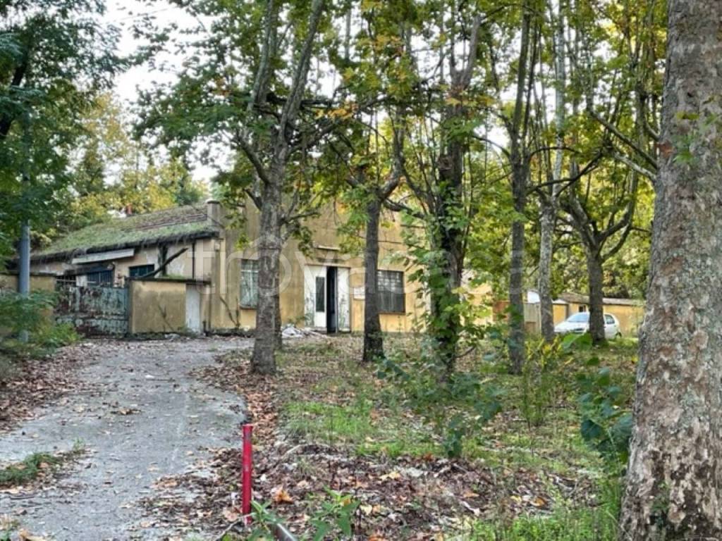 immagine annuncio 9 di 14