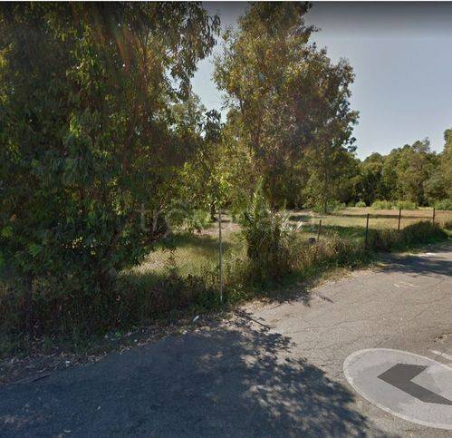 immagine annuncio 3 di 12