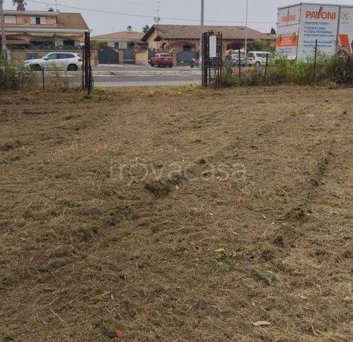 immagine annuncio 5 di 12