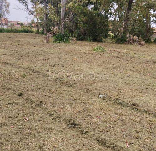 immagine annuncio 6 di 12