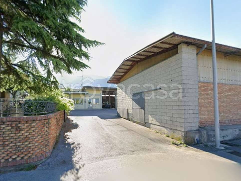 immagine annuncio 3 di 11