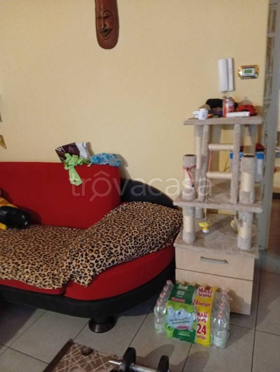 immagine annuncio 9 di 13