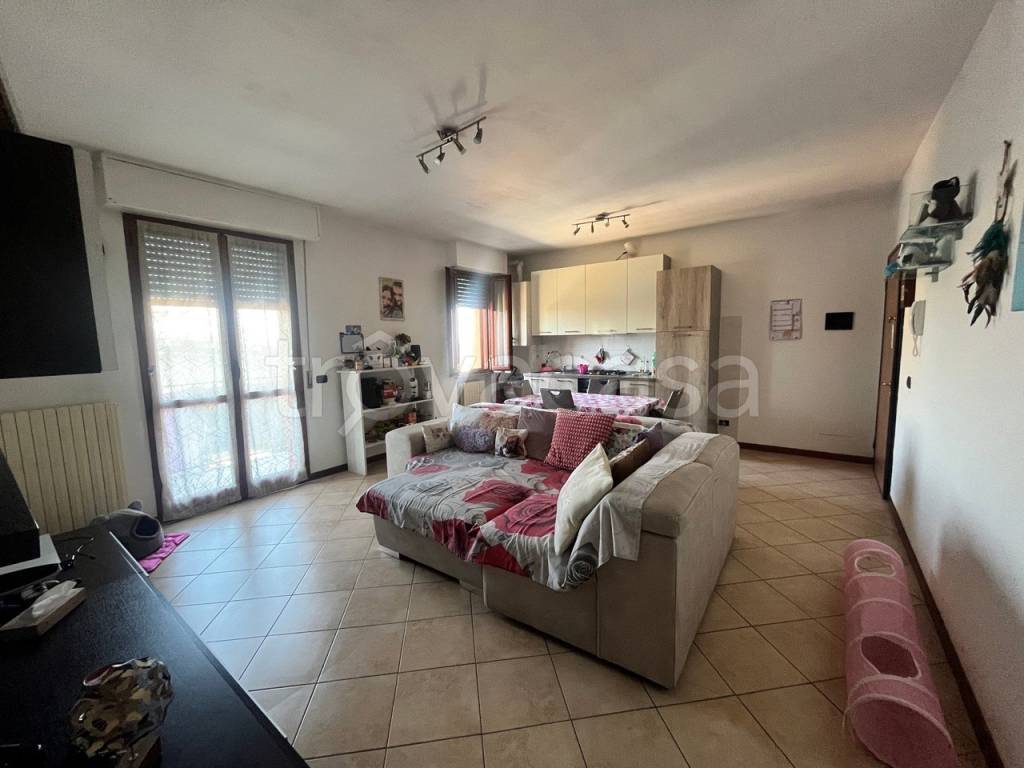 immagine annuncio 1 di 13