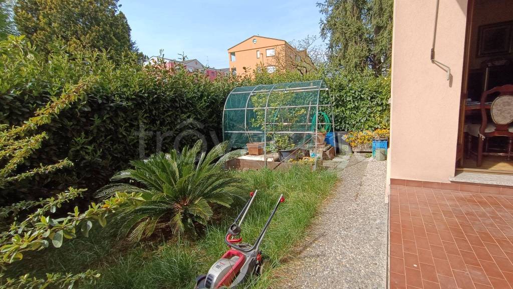 immagine annuncio 10 di 12