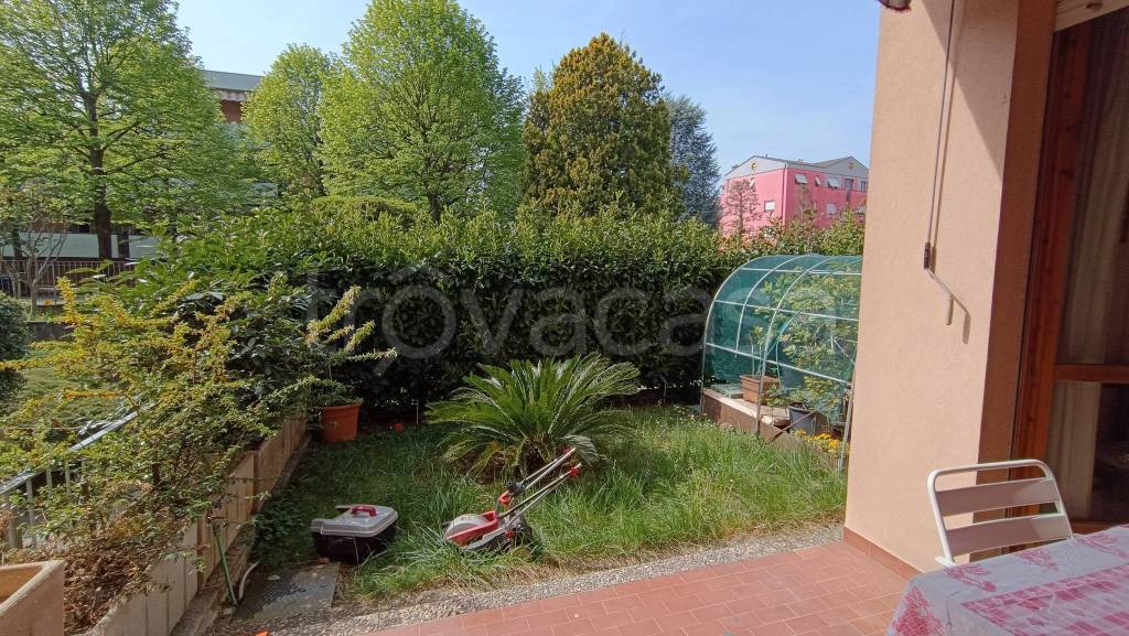 immagine annuncio 1 di 12