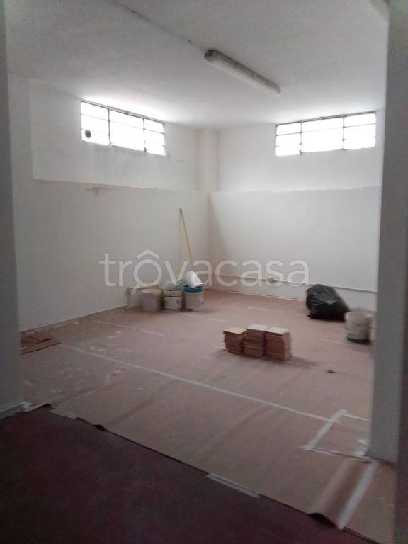 immagine annuncio 10 di 14