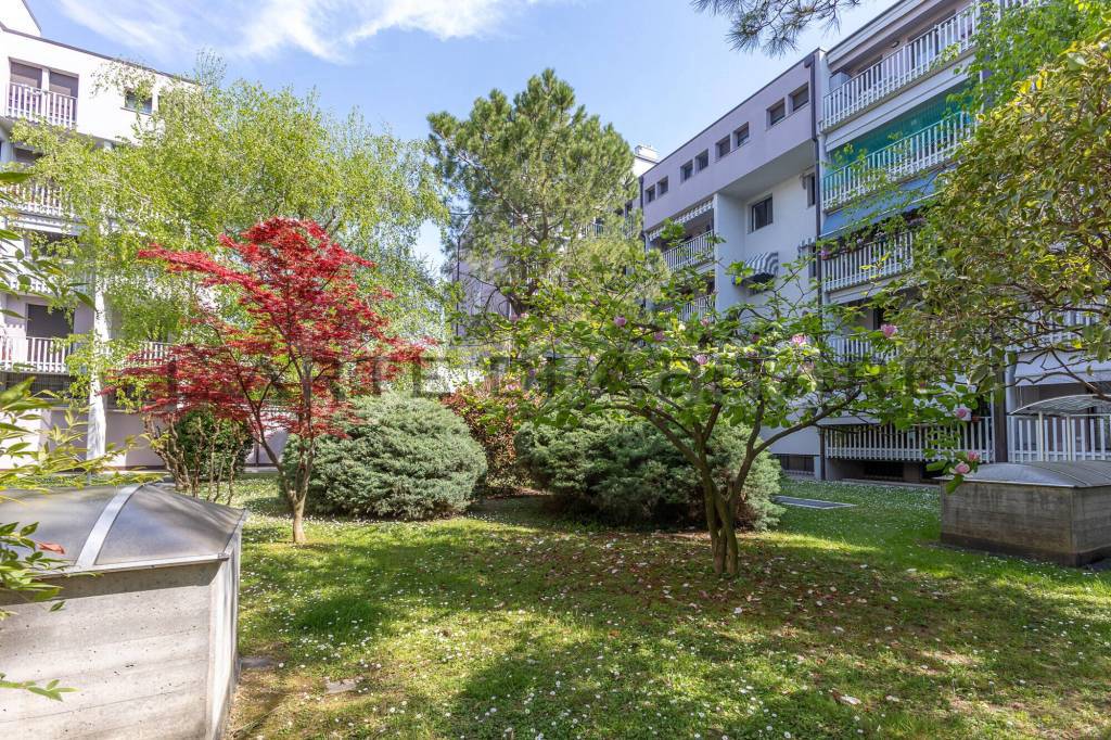 immagine annuncio 2 di 11