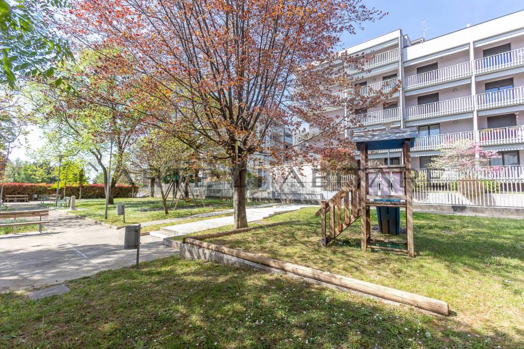 immagine annuncio 4 di 11