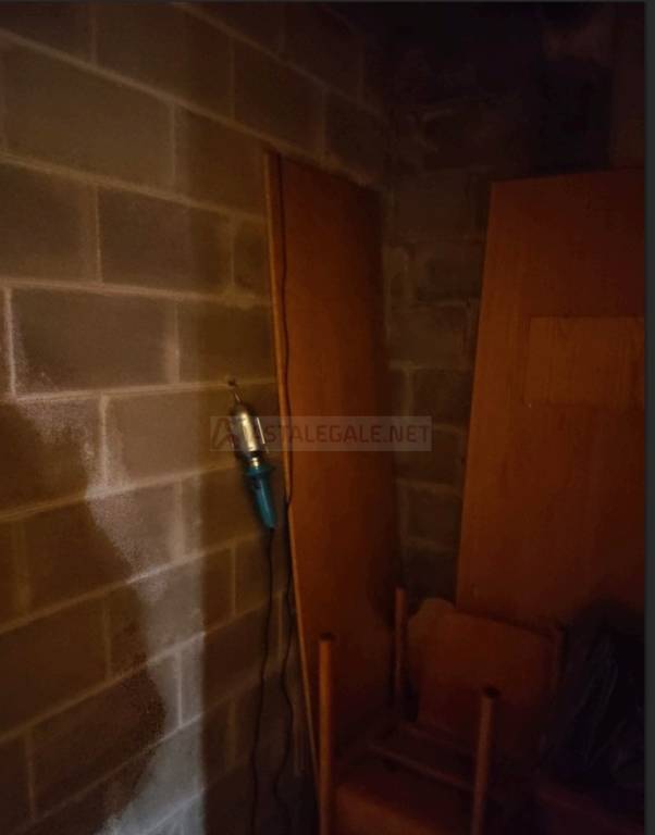 immagine annuncio 10 di 11