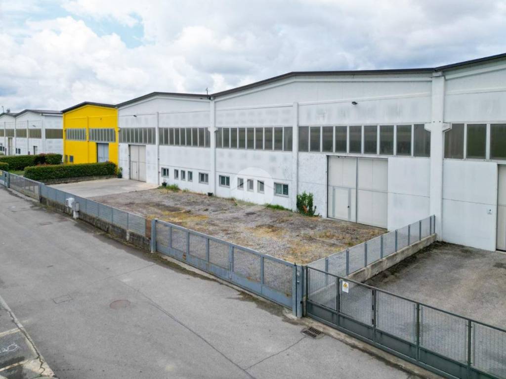 immagine annuncio 1 di 11