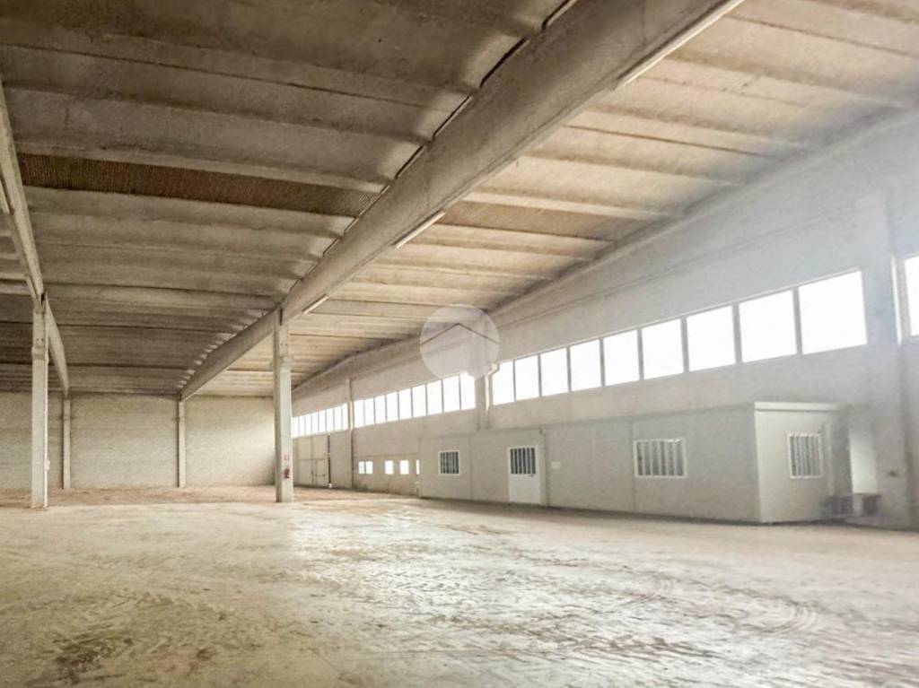 immagine annuncio 2 di 11