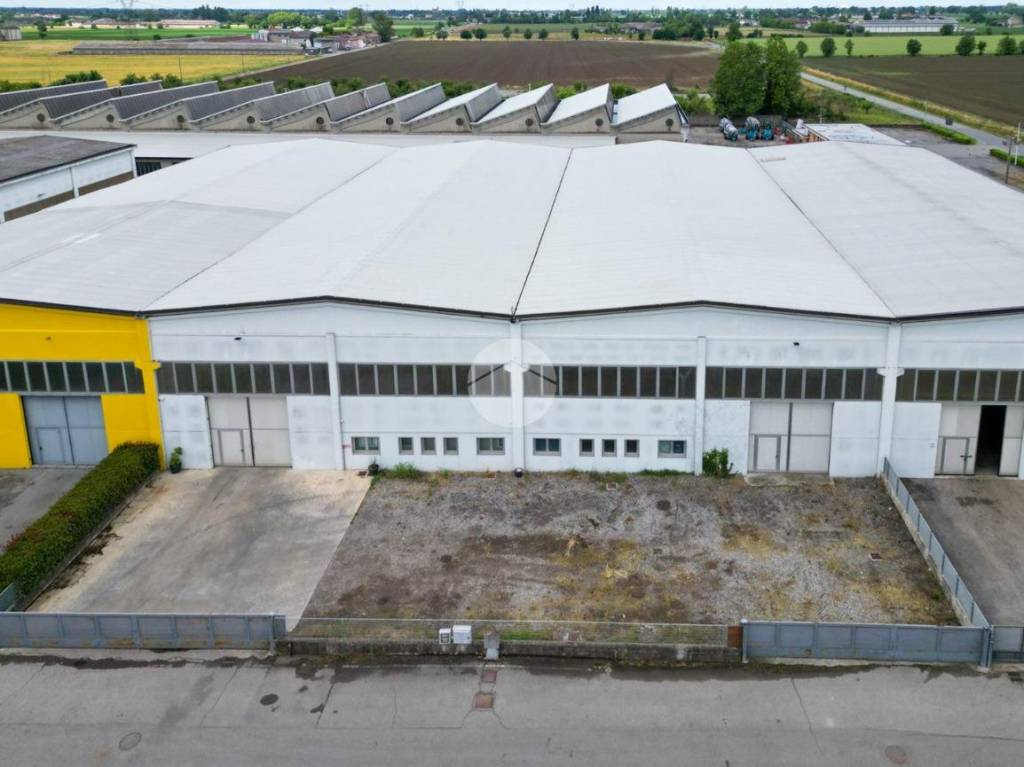 immagine annuncio 3 di 11