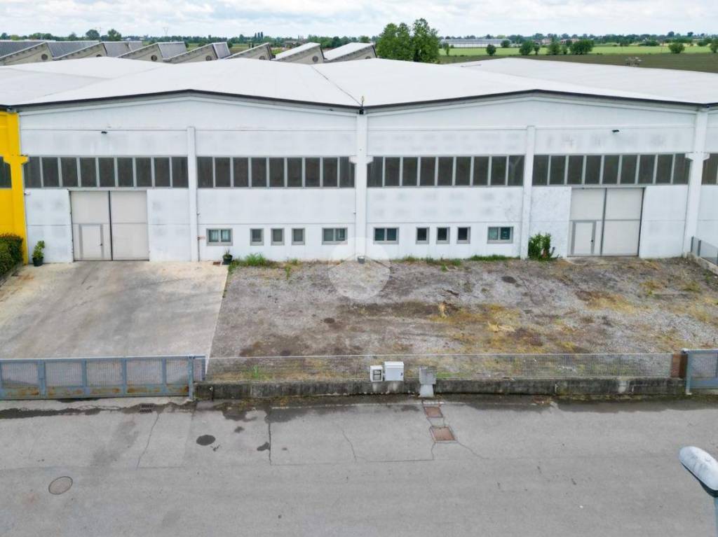 immagine annuncio 8 di 11