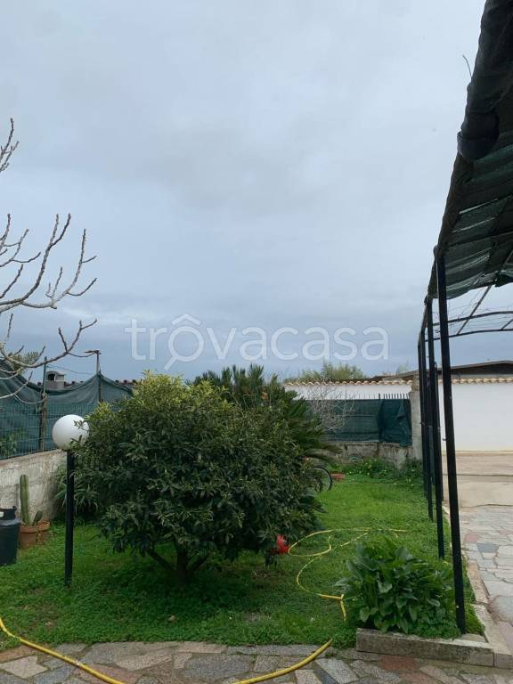 immagine annuncio 3 di 6