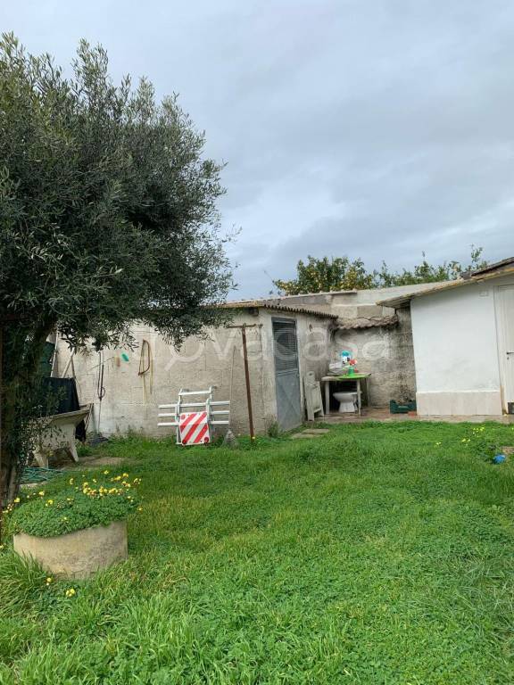 immagine annuncio 4 di 6