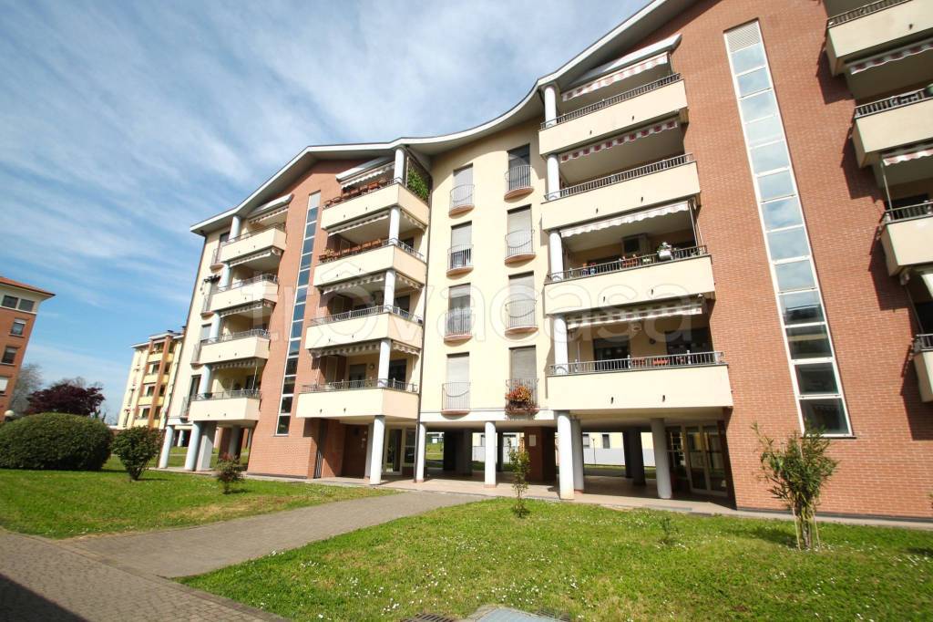 immagine annuncio 8 di 15