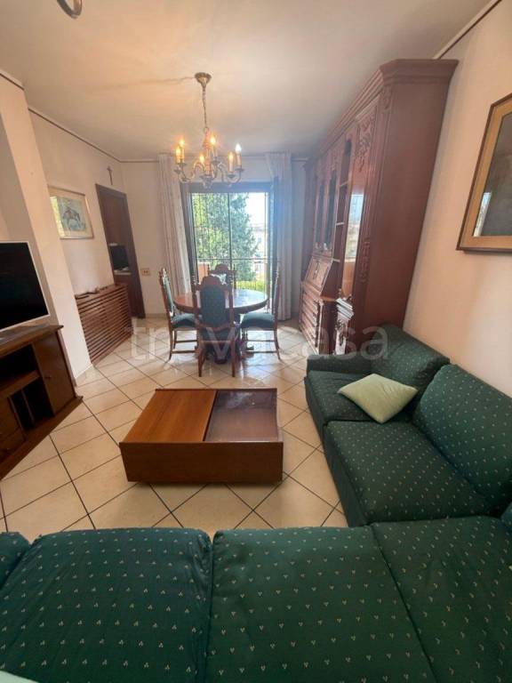 immagine annuncio 6 di 15