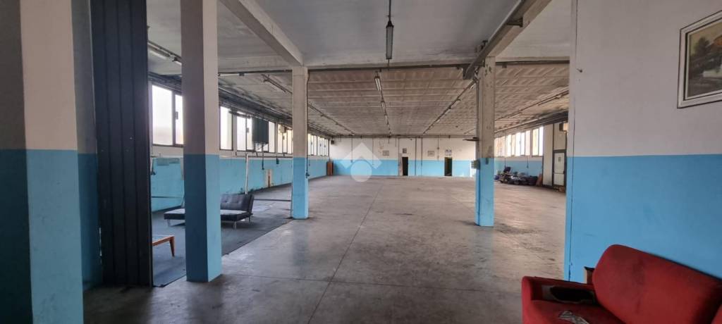 immagine annuncio 9 di 15