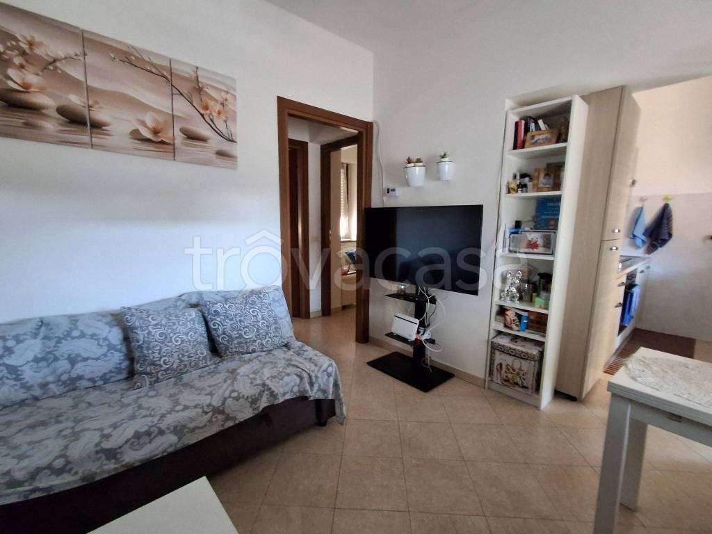 immagine annuncio 8 di 15