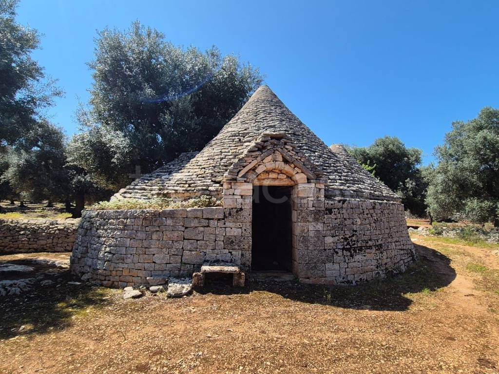 immagine annuncio 1 di 13