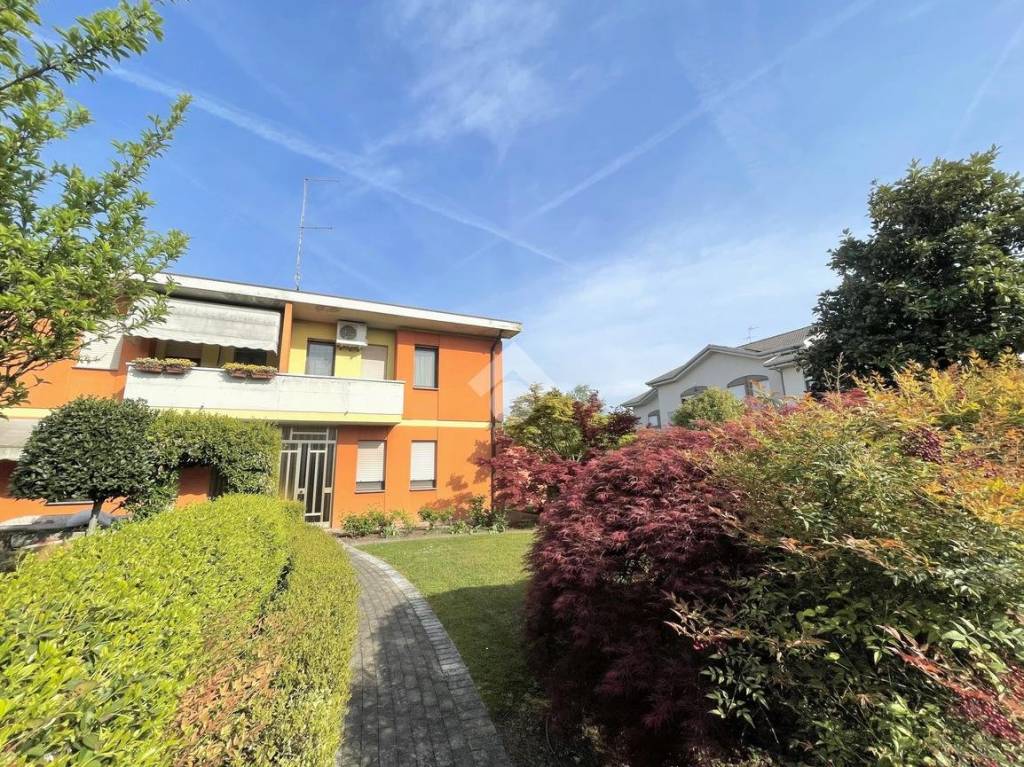 immagine annuncio 1 di 15