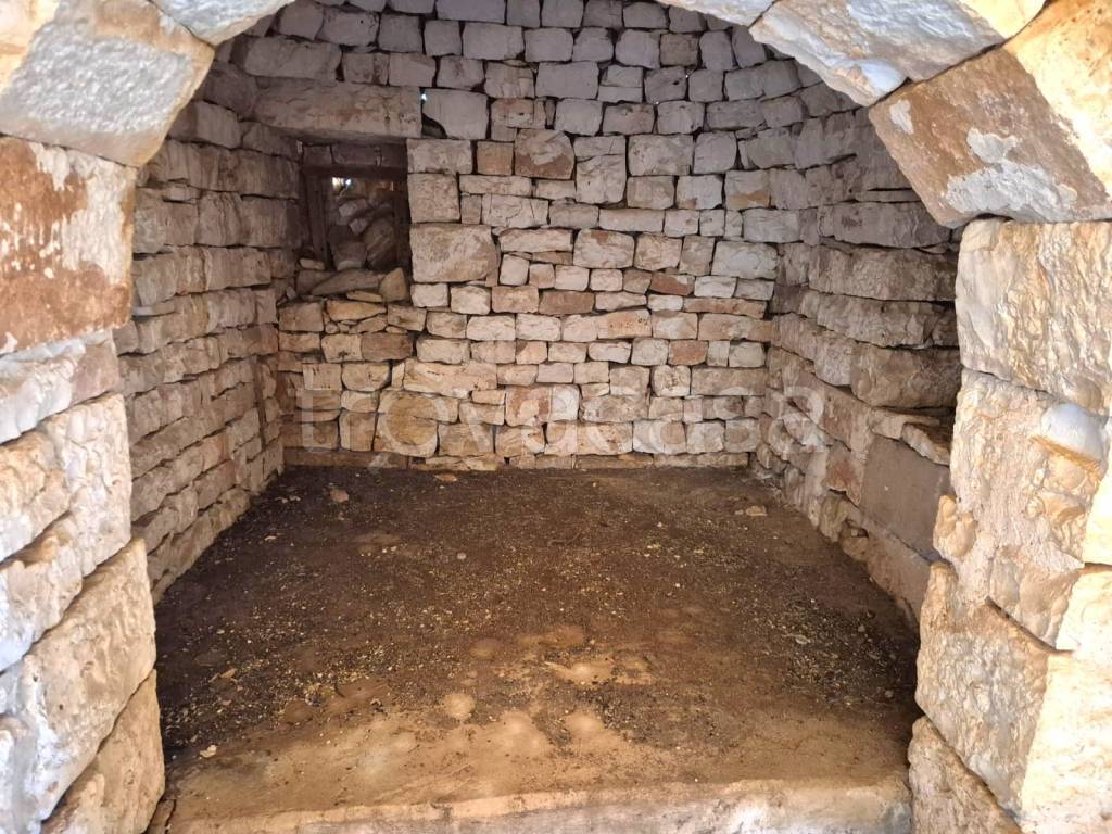 immagine annuncio 7 di 13