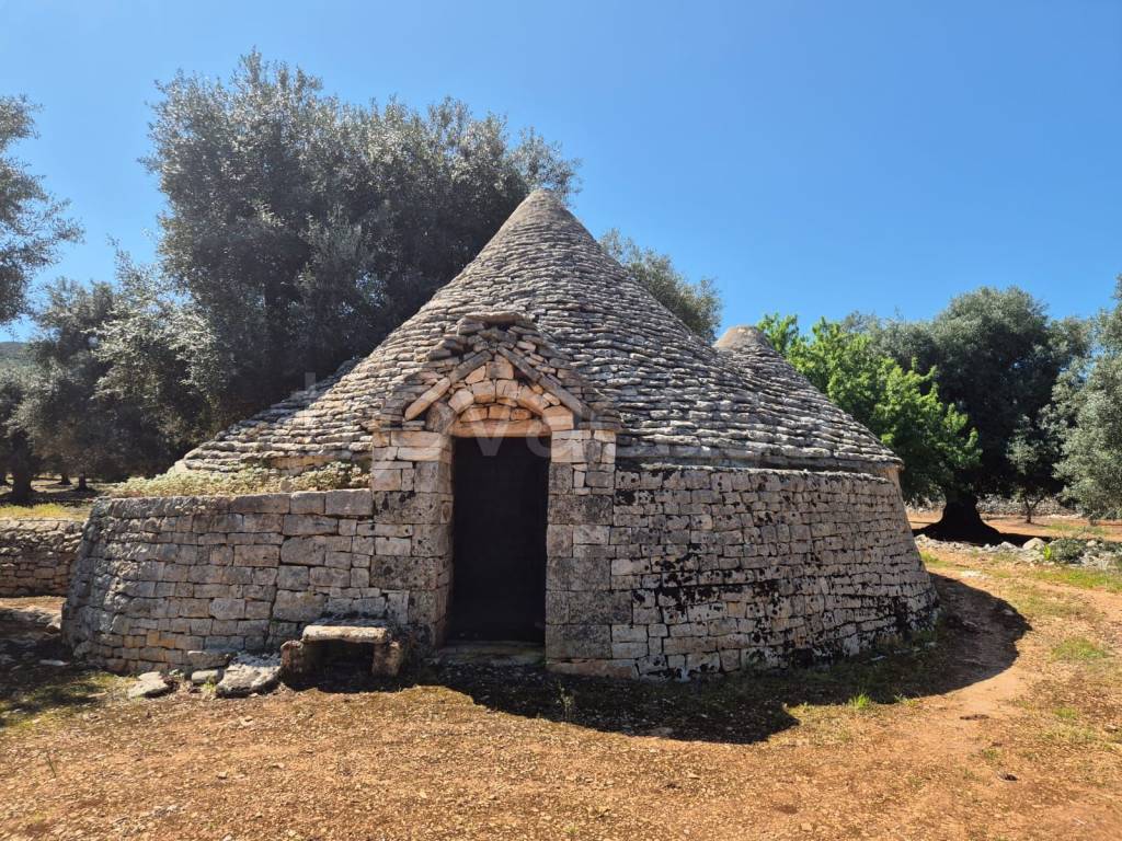 immagine annuncio 9 di 13