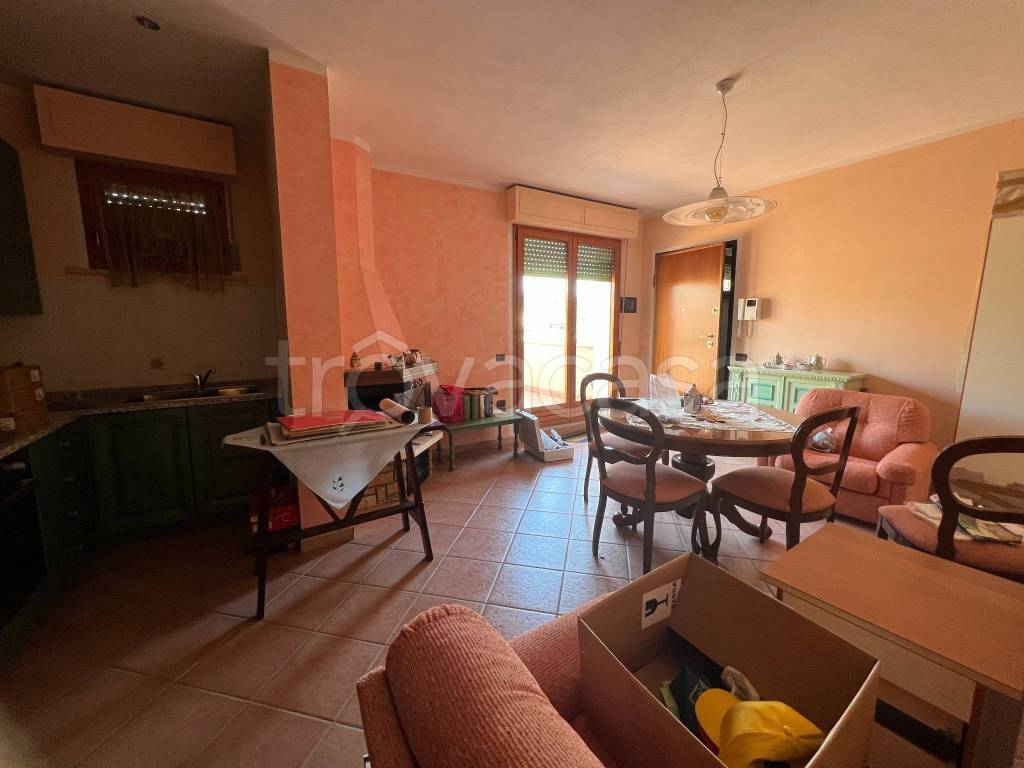 immagine annuncio 5 di 15