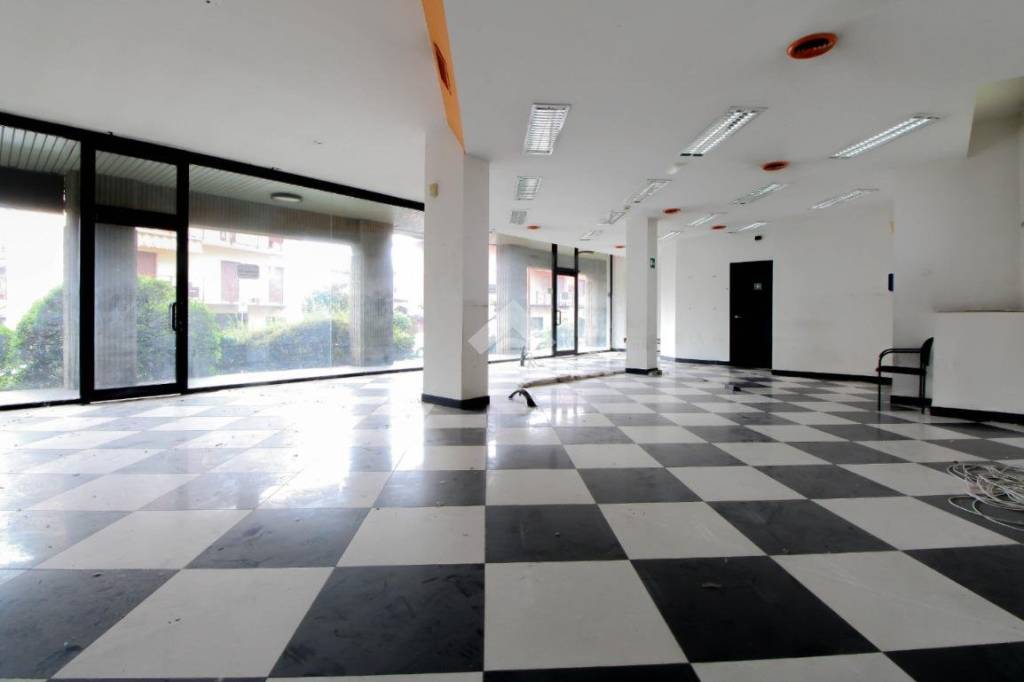 immagine annuncio 6 di 12