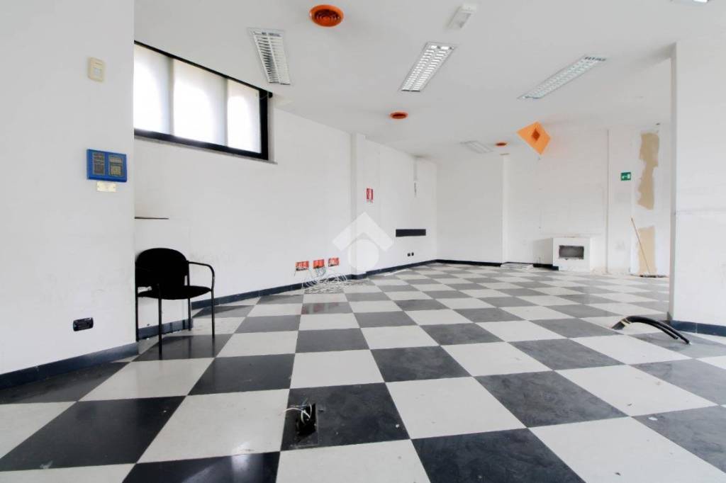 immagine annuncio 11 di 12