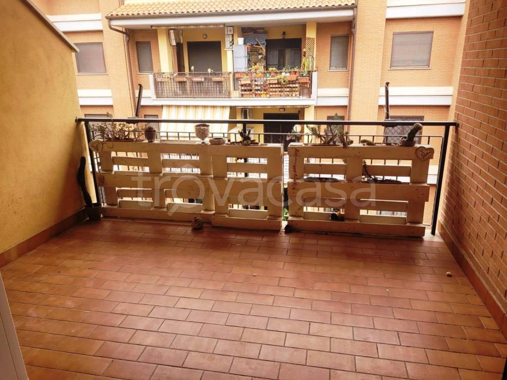 immagine annuncio 11 di 14