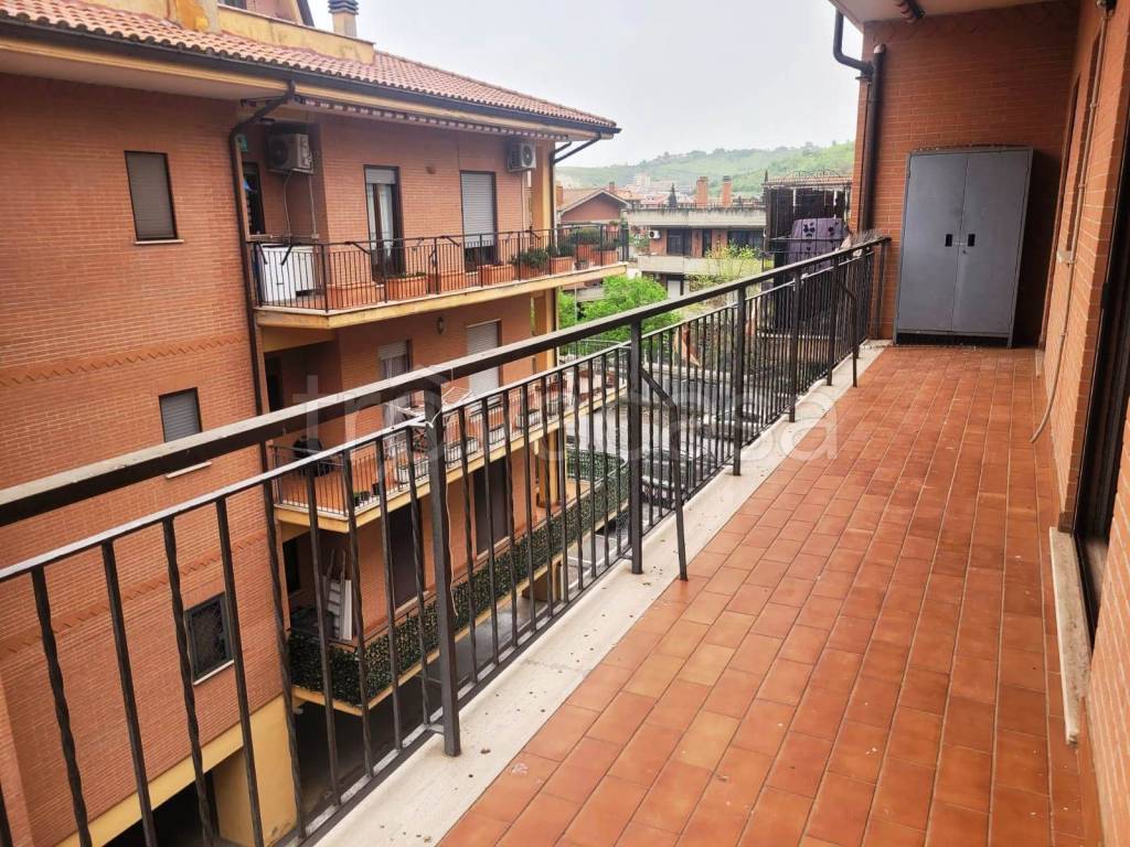 immagine annuncio 12 di 14