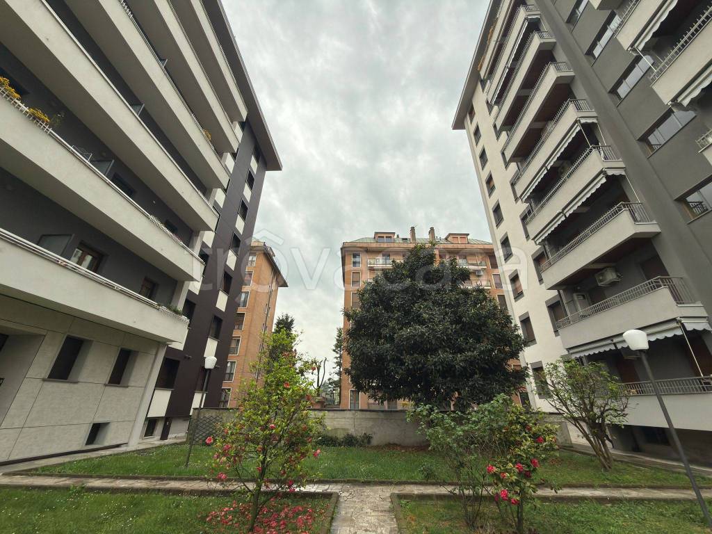 immagine annuncio 8 di 11