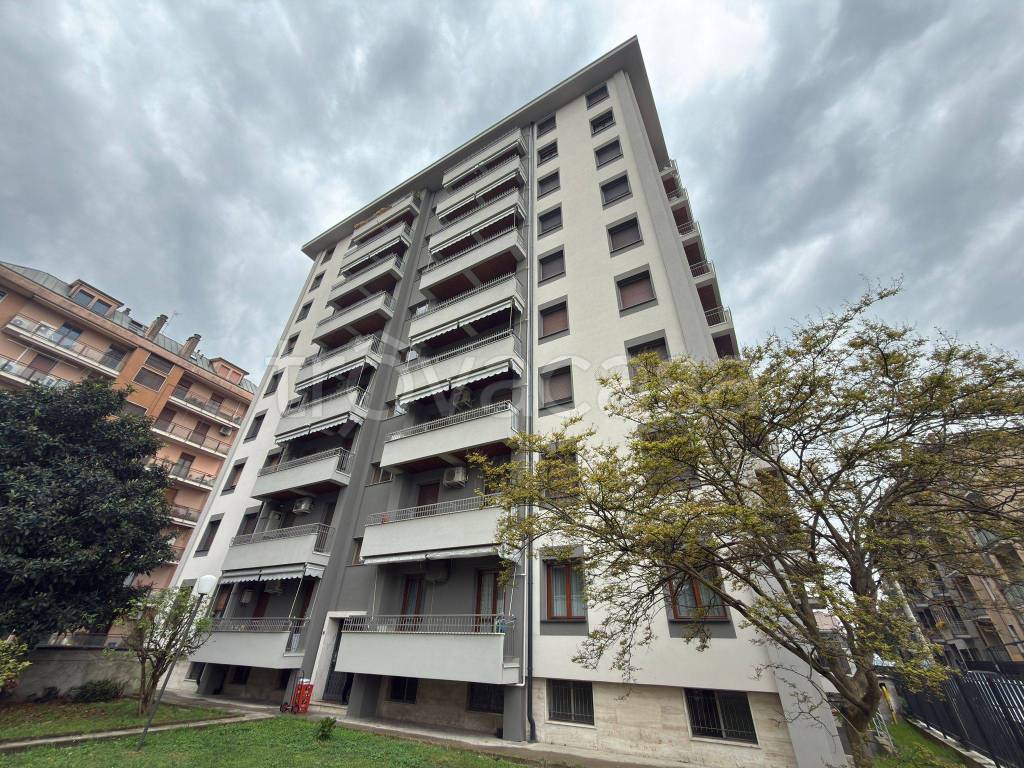 immagine annuncio 9 di 11