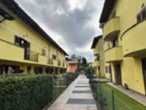 immagine annuncio 4 di 6