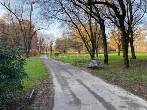 immagine annuncio 5 di 6