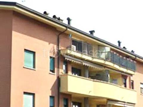 immagine annuncio 1 di 4