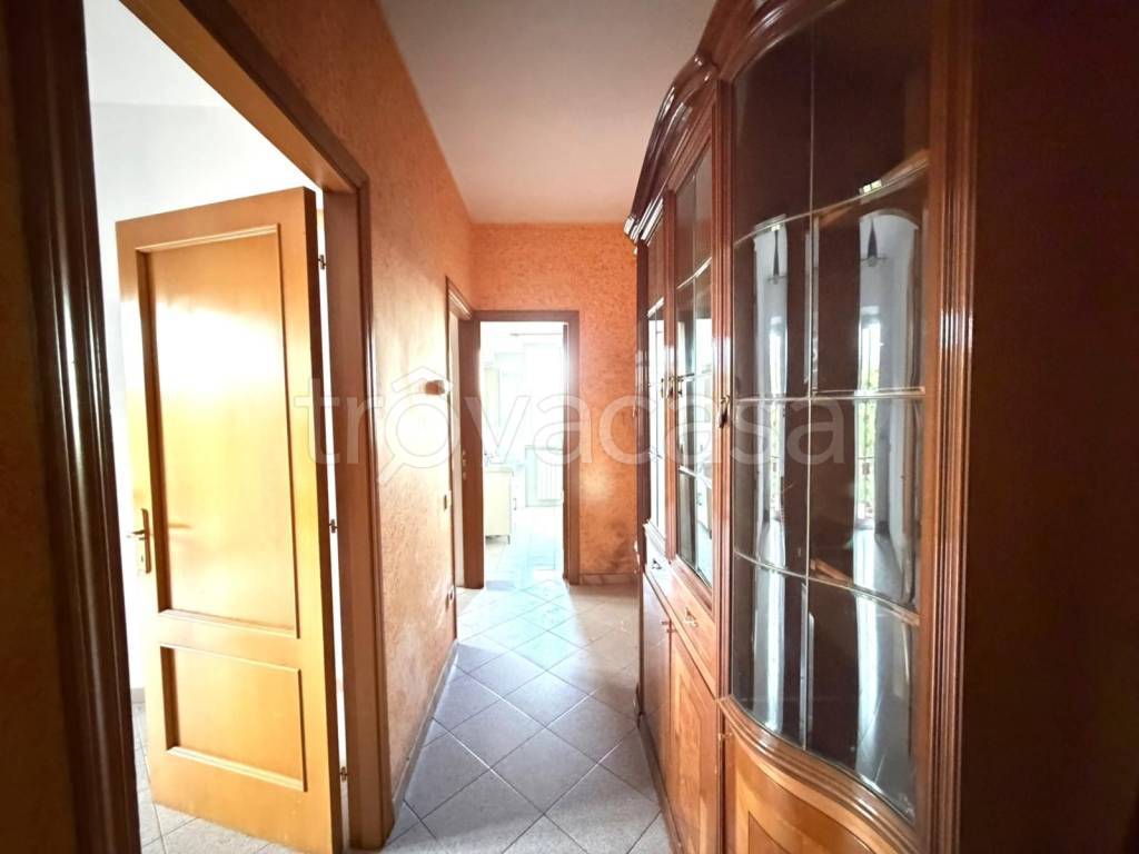 immagine annuncio 9 di 14