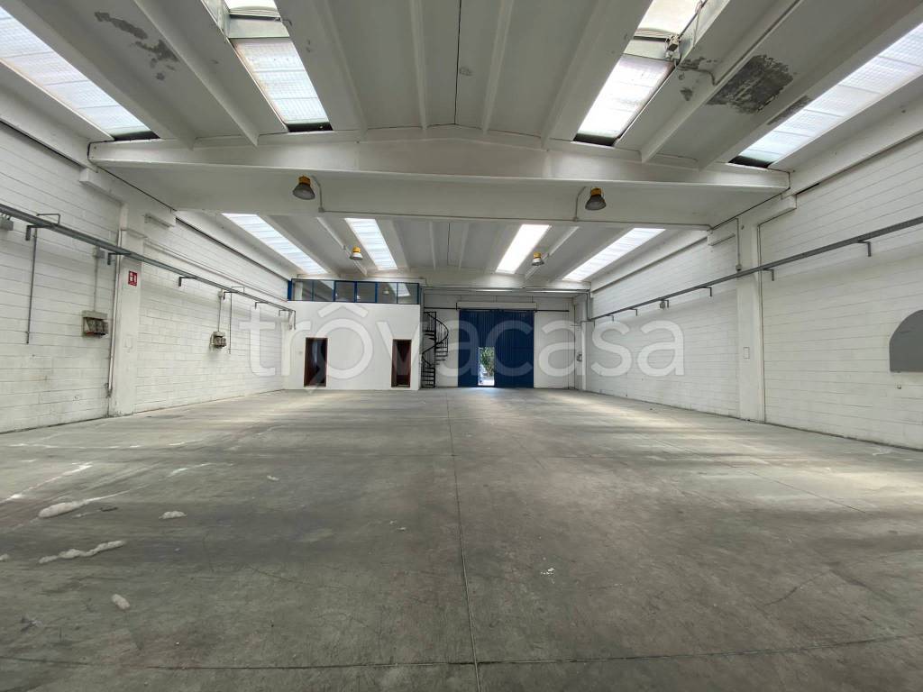 immagine annuncio 8 di 15