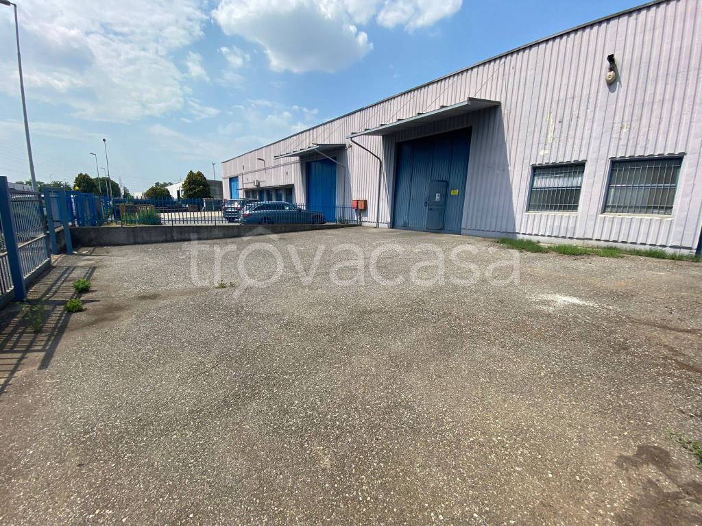 immagine annuncio 11 di 15