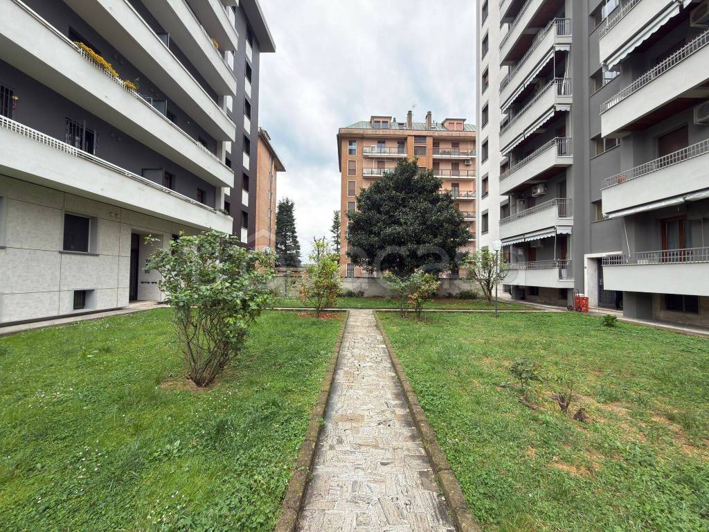 immagine annuncio 8 di 11