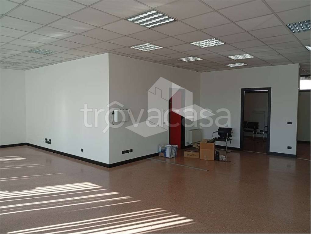 immagine annuncio 10 di 14