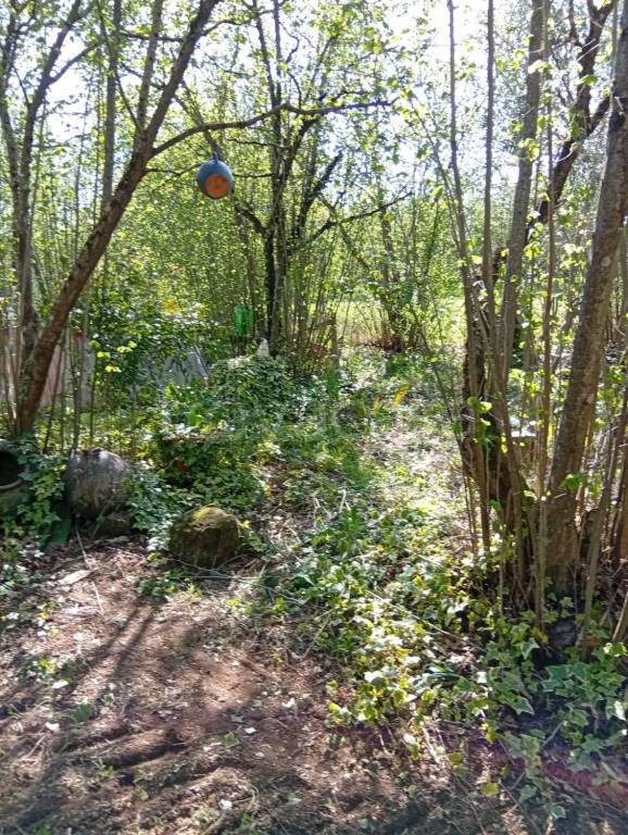 immagine annuncio 5 di 9