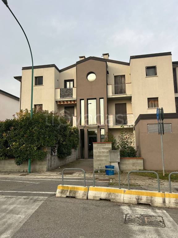 immagine annuncio 12 di 14